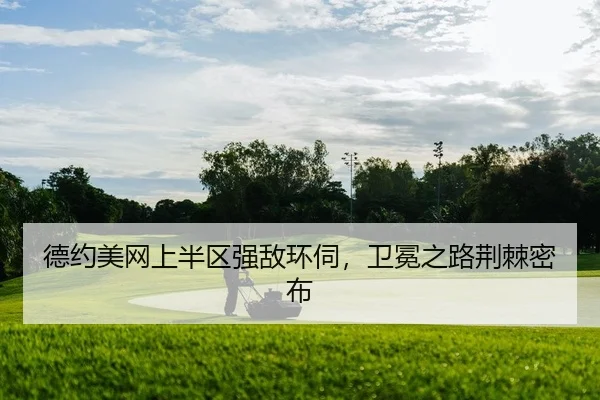 de-yue-mei-wang-shang-ban-qu-qiang-di-huan-si-wei-mian-zhi-lu-jing-ji-mi-bu-2-115.jpg